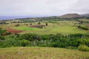 Township: Agricultural land and coast from Puna Pau.east