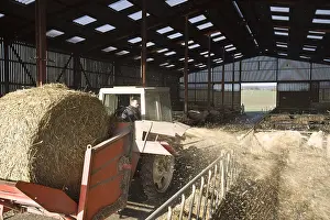 Agricultural machine distributing straw into cattle boxes