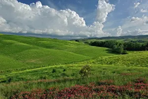Freshness: Agricultural region of Tuscany, Italy