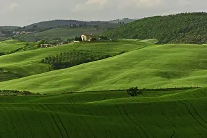 Freshness: Agricultural region of Tuscany, Italy