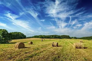 Scattered: Agriculture background, a stunning summer landscape