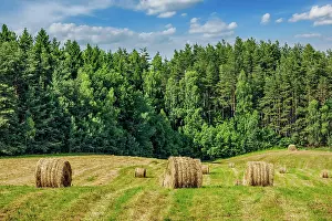 Scattered: Agriculture background, a stunning summer landscape