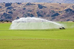 Irrigation: Agriculture - High pressure irrigation of pasture