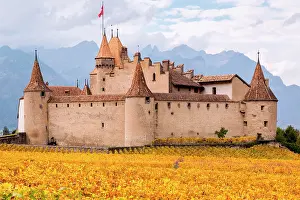 Medieval: Aigle Castle surrounded by vineyards, Aigle, Vaud