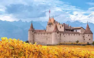 Medieval: Aigle Castle surrounded by vineyards, Aigle, Vaud
