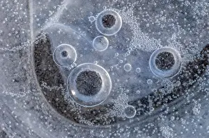 Bubbles: Air bubbles trapped in ice formed on a river during