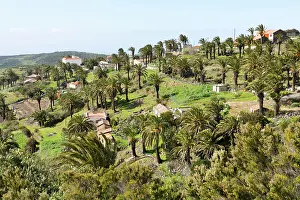 Gomera: Alajero - a hill town of reasonable size with palm trees