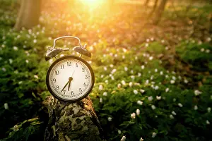 Soil: Alarm clock in the sunrise over a forest in the