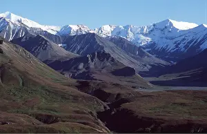 Denali: Alaska - Denali National Park