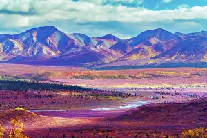 Denali: Alaska, Denali National Park. Autumn landscape of