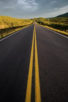 Highways: Alaska Highway lined by Poplar Trees Autumn Yukon, Canada