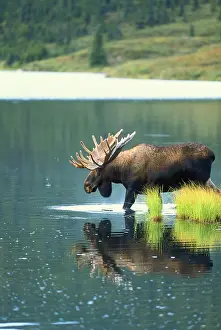 Denali: Alaska, Interior Alaska, Denali National