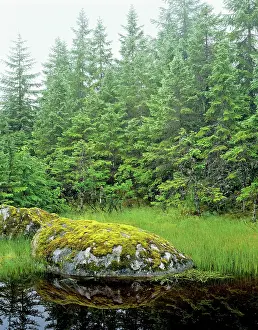 Tongass: Alaska - Tongass National Forest, in Southeast