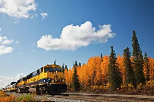 George: Alaska Train along George Parks Highway