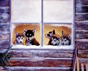 Alaskan Malamute Dog - puppies at log cabin window