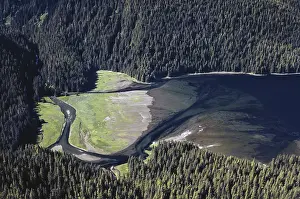 Spawning: Alaskan River Delta