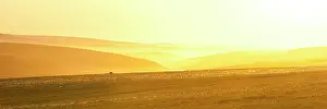 Anwr: Alaskan Tundra at sunset Alaska's Arctic National