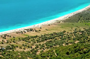 Southeastern: Albania, Olive grove next to Borsh beach