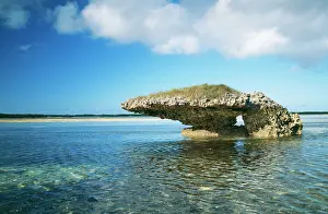 Champignon: ALDABRA - CHAMPIGNON LAGOON