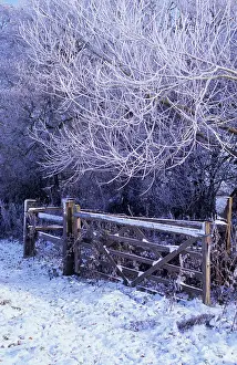Gateway: Alder