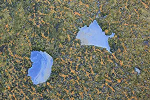 Beds: Algae beds laying on a geothermal pool