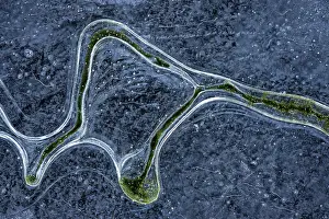 Crack: Algae patterns in the ice