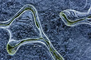 Crack: Algae patterns in the ice