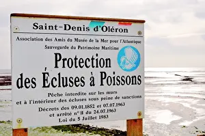 Oleron: All around the island, old fish traps are still