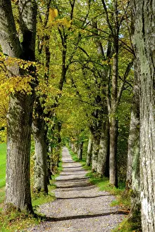 Upper: Alley Castle, Hnhenried, near Bernried, Upper Bavaria