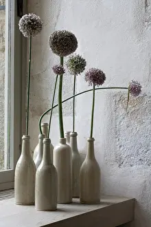 Unsophisticated: Allium