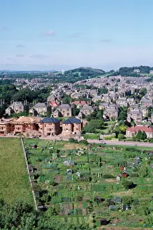 Allotment: Alloments - land threatened by new housing