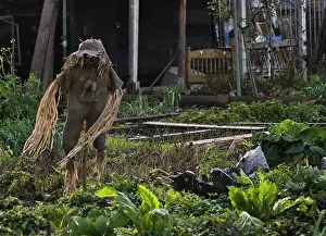 Allotment: Allotment