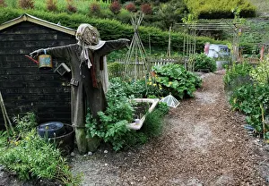 Sufficient: Allotment