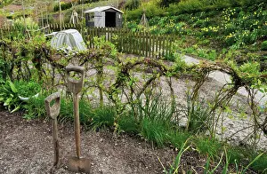 Organized: Allotment