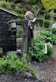 Sufficient: Allotment