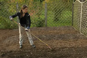 Lifestyle: Allotment