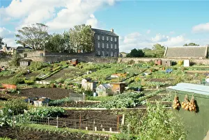Allotment: ALLOTMENTS