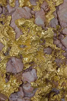 Alluvial: Alluvial gold specimen with rosy quartz
