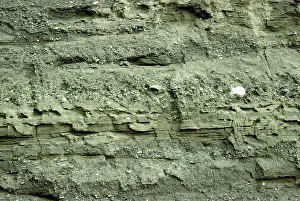 Alluvial: Alluvial sediments