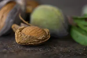 Dulcis: Almond