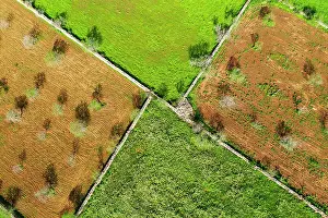 Stonewall: Almond plantations and meadows with stone walls