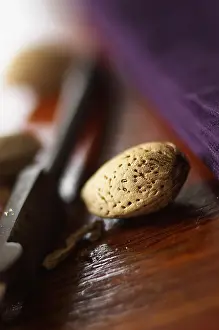 Dulcis: Almond, Prunus dulcis