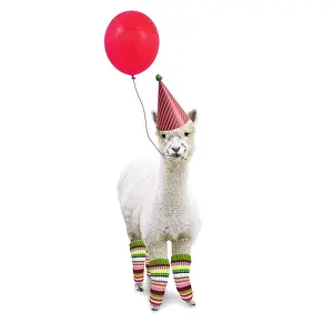Celebrations: Alpaca, wearing Birthday party hat and leggings