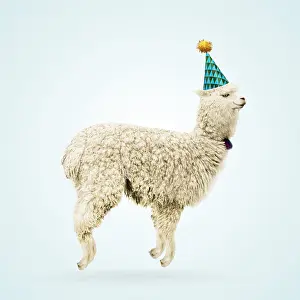 Celebrating: Alpaca, wearing party hat, jumping for joy, smiling, happy