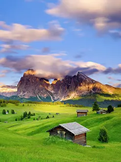Alpe: Alpe di Siusi mountain pasture, Sassolungo Mountains