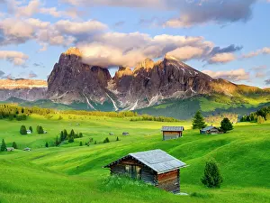 Alpe: Alpe di Siusi mountain pasture, Sassolungo Mountains