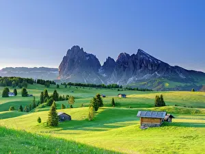 Alpe: Alpe di Siusi, Sassolungo, Plattkofel, in the morning