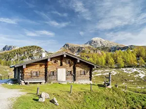 Larix: Alpe or mountain pasture during fall in