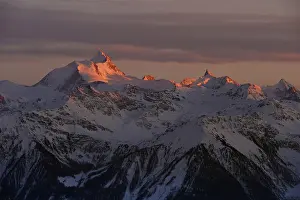 Tall: Alpenglow... Swiss Alps, view of the WeiBhorn and Obergabelhorn