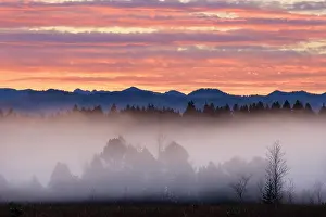 Foothills: Alpine foothills landscape at morning fog, morning